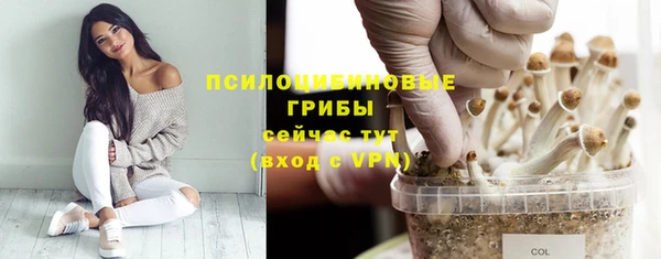 mdpv Бабаево