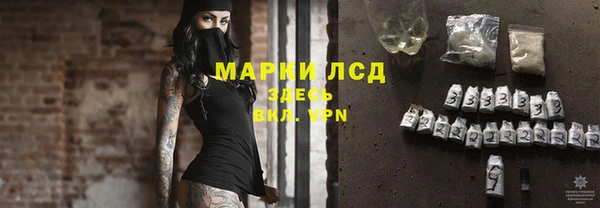 сатива Новокубанск