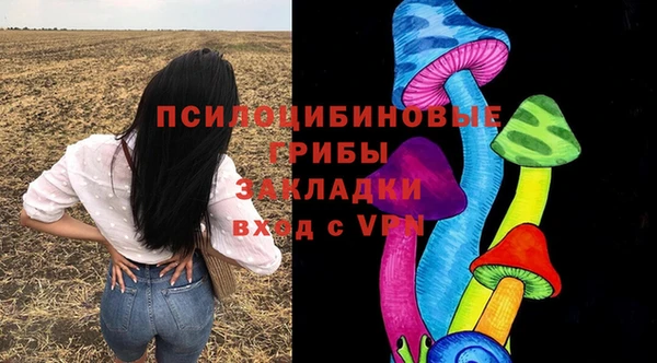 дмт Верхний Тагил