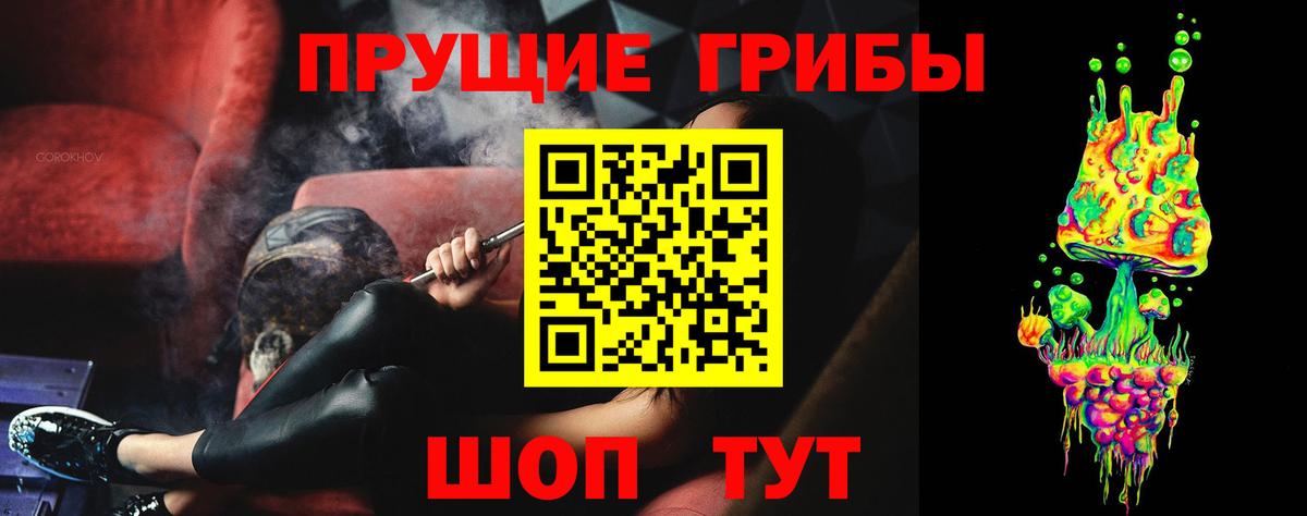 Галлюциногенные грибы Cubensis Переславль-Залесский