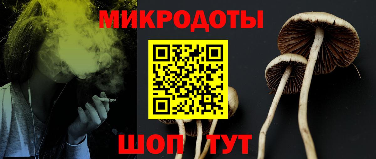 Галлюциногенные грибы прущие грибы Переславль-Залесский